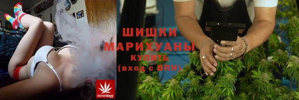 гидра Медвежьегорск