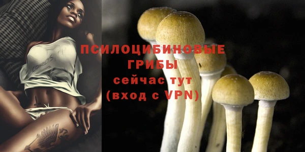 метадон Мегион