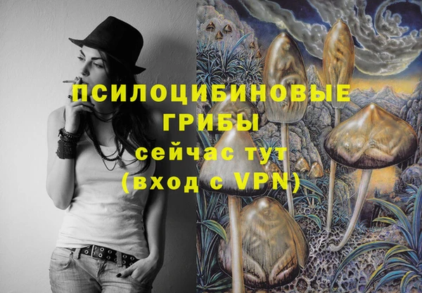 соль курить ск Медногорск