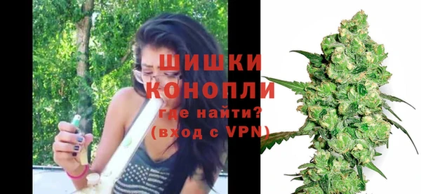 гидра Медвежьегорск