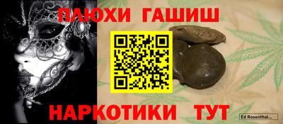 крисы Кингисепп