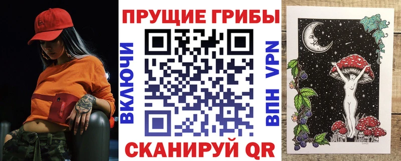 купить наркоту  сайты даркнета как зайти  Псилоцибиновые грибы ЛСД  Чайковский 