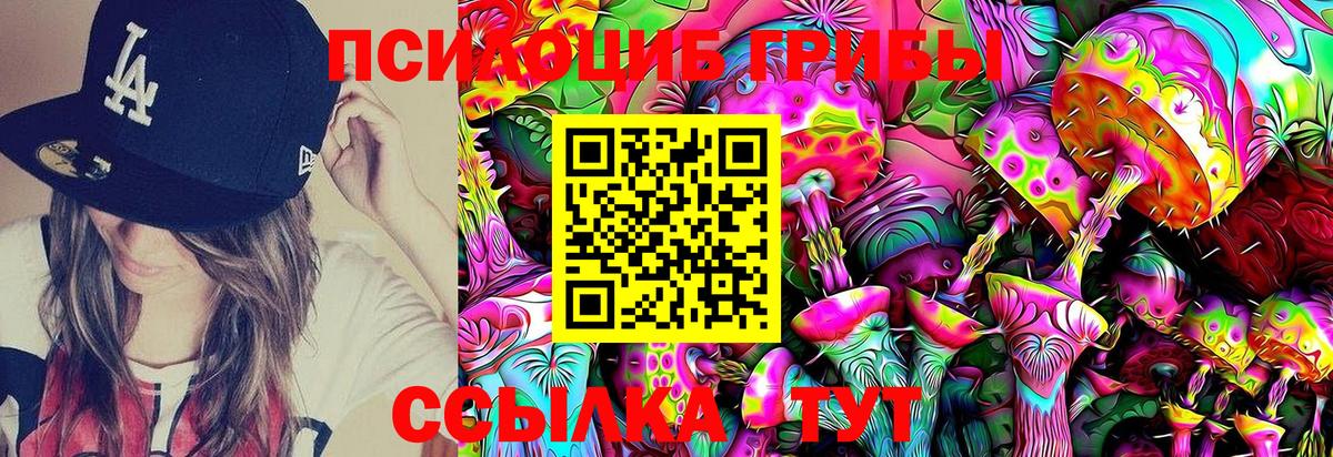 Псилоцибиновые грибы Psilocybe  Вход с VPN  Чайковский 